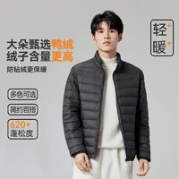 雪中飞 2024男式立领秋羽绒百搭轻薄鸭绒立领修身轻盈隐藏式口袋 宝石黑|8086 180/100A