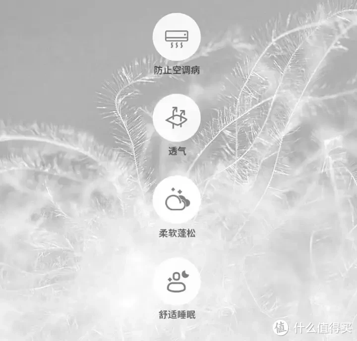 鹅绒被推荐,高性价比鹅绒被推荐
