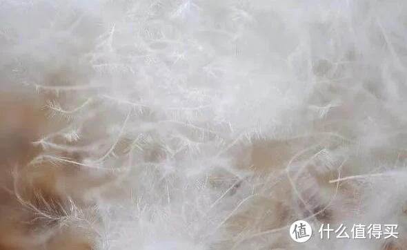 万字血泪！迄今为止挑鹅绒产品最详细的购物指南了，按照这去买绝对错不了，剁手要剁的明明白白！