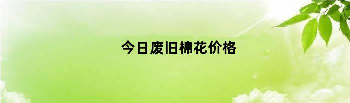 今日废旧棉花价格