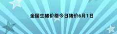 全国生猪价格今日猪价6月1日