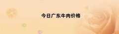 今日广东牛肉价格（今日广州牛肉价格）