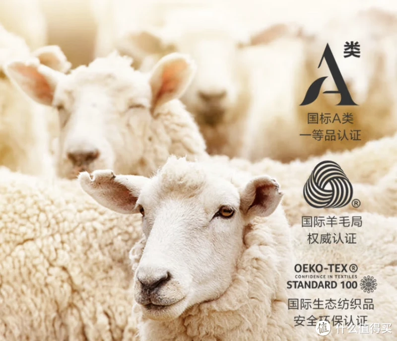 冬季棉被选购指南:温暖你的每一个夜晚
