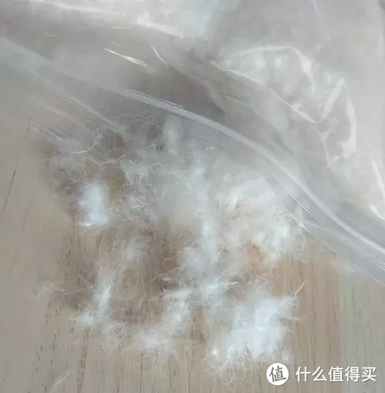 仔细看羽绒里的粉尘还是能肉眼可见的。