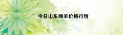 今日山东绵羊价格行情（今天绵羊价格行情）