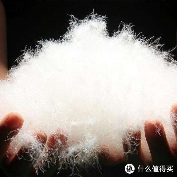 棉花被or鹅绒被，你pick谁？谁才是真正的最强王者？