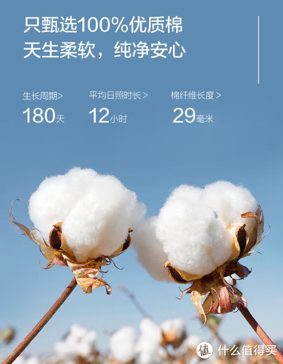 育儿必看！棉花干货科普&10款棉质优选好物推荐