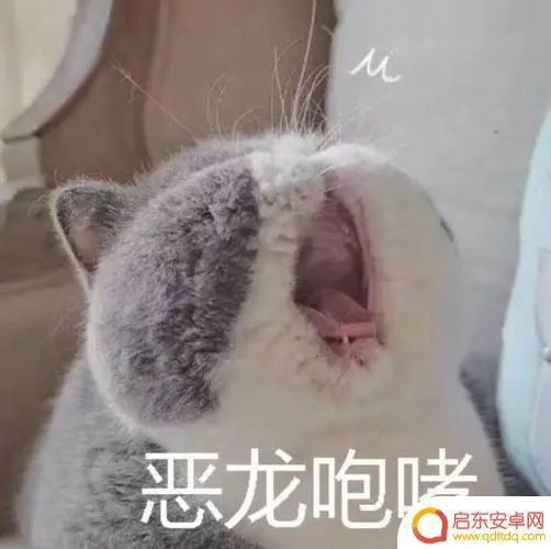 抖音恶龙咆哮是什么梗