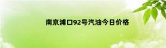 南京浦口92号汽油今日价格