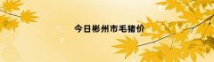 今日彬州市毛猪价（商洛今日猪价多钱一斤）