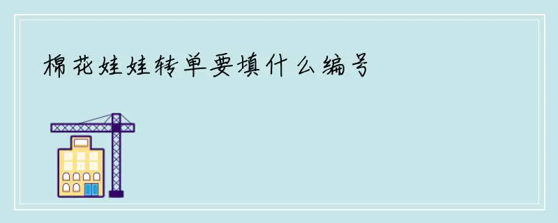 棉花娃娃转单要填什么编号