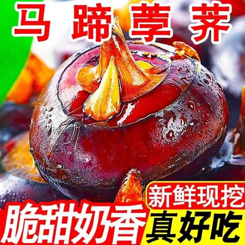 珠三角开始入秋了，滋补的菜色也到来了-腐竹炆羊排