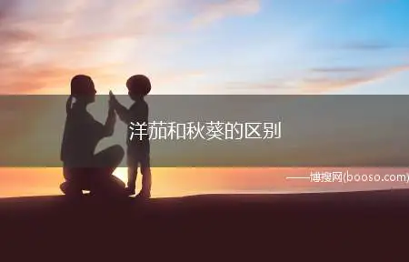洋茄和秋葵的区别(洋茄和秋葵没有区别,肉质柔嫩、润滑的嫩荚供食)