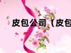 皮包公司（皮包公司的五大特征）