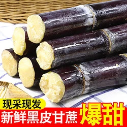 5斤正宗黑皮甘蔗