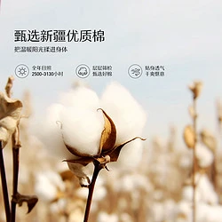 MERCURY 水星家纺 棉花被春秋被四季被棉被新疆棉花被子纯棉全棉棉絮被芯