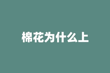 棉花为什么上涨?棉花是什么价格? 棉花为什么上涨?棉花是什么价格?