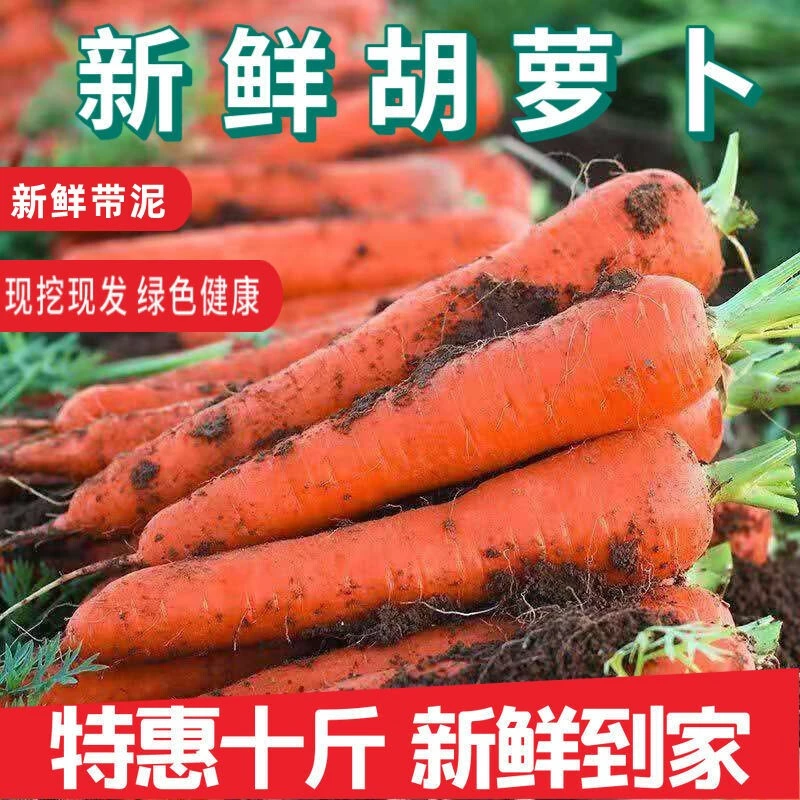 珠三角开始入秋了，滋补的菜色也到来了-腐竹炆羊排