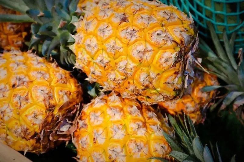 成熟度不错的菠萝 ©图虫创意