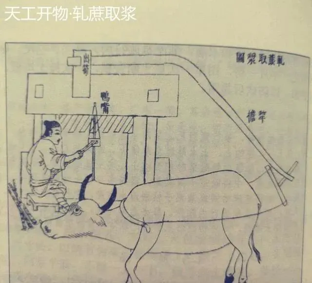 取代威士忌成为“海盗之酒”的朗姆，到底是什么来历？