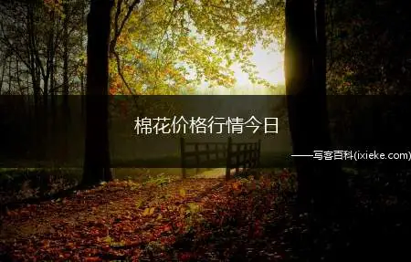 棉花价格行情今日(每公斤1509元)