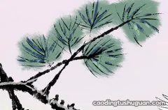 孕妇梦见柳树是什么意思 是吉兆的表现