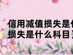 信用减值损失是什么科目（信用减值损失是什么科目）