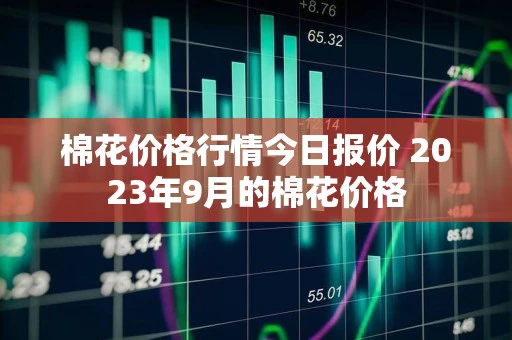 棉花价格行情今日报价 2023年9月的棉花价格
