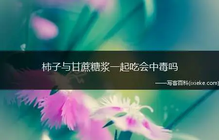 柿子与甘蔗糖浆一起吃会中毒吗