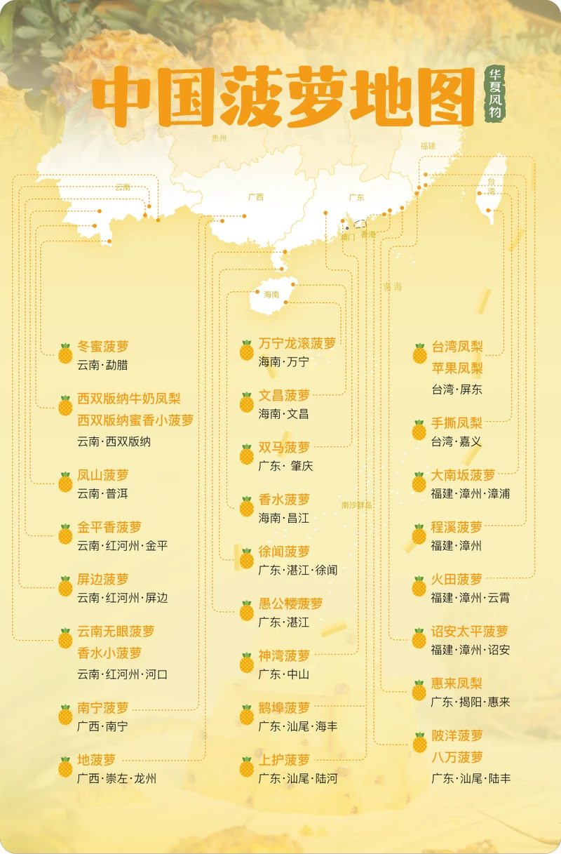 中国菠萝主要产区分布图,广东、海南、广西以反季节种植为主,果实主要在冬春(1-4月)成熟上市;福建、云南则多为正造(即自然时令)栽培,果实多在夏秋季(6-8月)上市 ©华夏风物