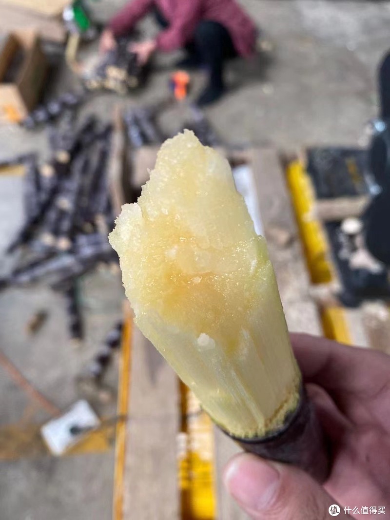 广西黑皮甘蔗,口感清甜,肉质饱满,快来品尝!