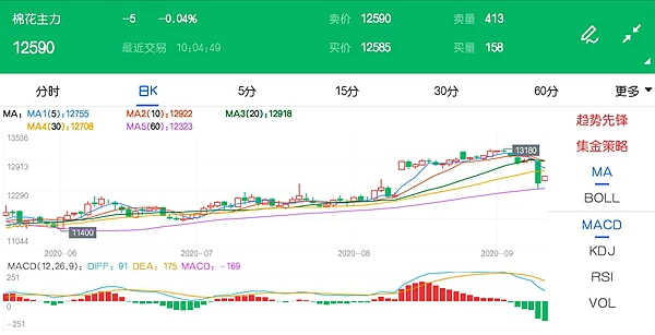 棉花价格的巨幅下跌 是谁在背后“搞鬼”