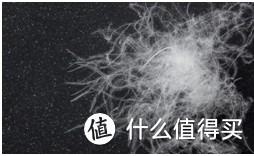 羽绒枕、乳胶枕、化纤枕、软管枕、棉花枕——枕芯怎么选？多款枕头横评