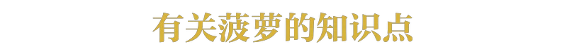 现在还有多少人不知道菠萝和凤梨的关系