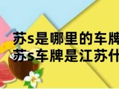 苏s是哪里的车牌号江宁（2020苏s车牌是江苏什么城市的）