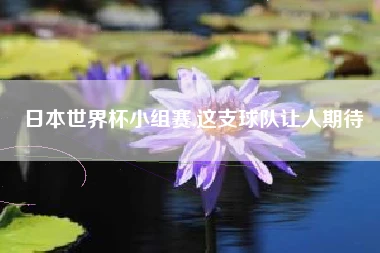 日本世界杯小组赛,这支球队让人期待