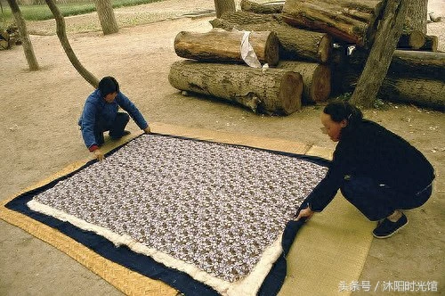 80年代的河南洛阳老照片 一起回到那个时光淳朴的年代