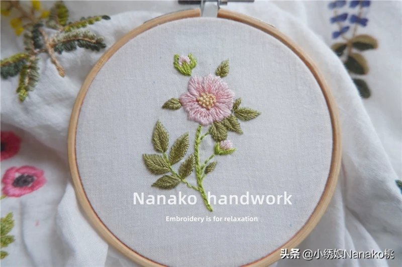 棉花见多了,你知道野棉花吗?粉色的棉花如此萌萌哒