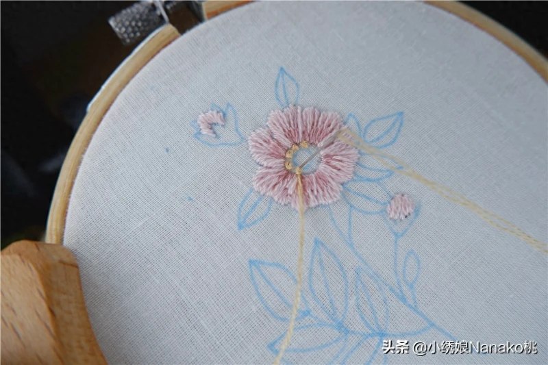 棉花见多了,你知道野棉花吗?粉色的棉花如此萌萌哒