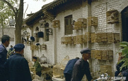 80年代的河南洛阳老照片 一起回到那个时光淳朴的年代