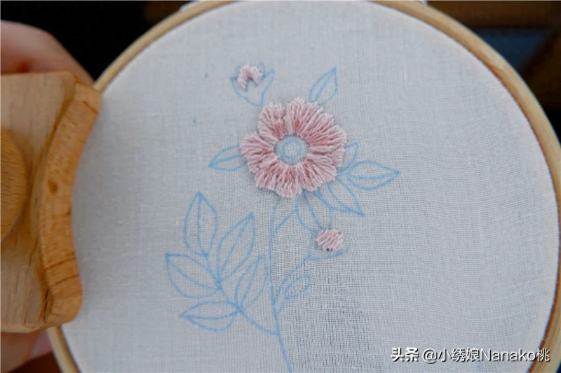棉花见多了,你知道野棉花吗?粉色的棉花如此萌萌哒