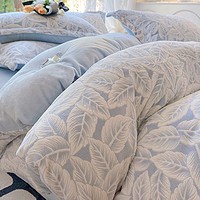 XANLENSSI 轩蓝仕 A类加厚保暖牛奶绒雕花四件套 7.8斤 200*230cm