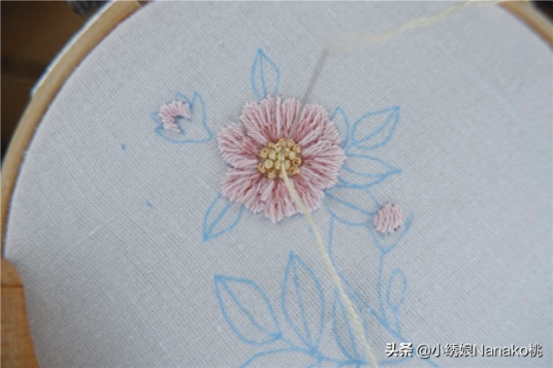 棉花见多了,你知道野棉花吗?粉色的棉花如此萌萌哒