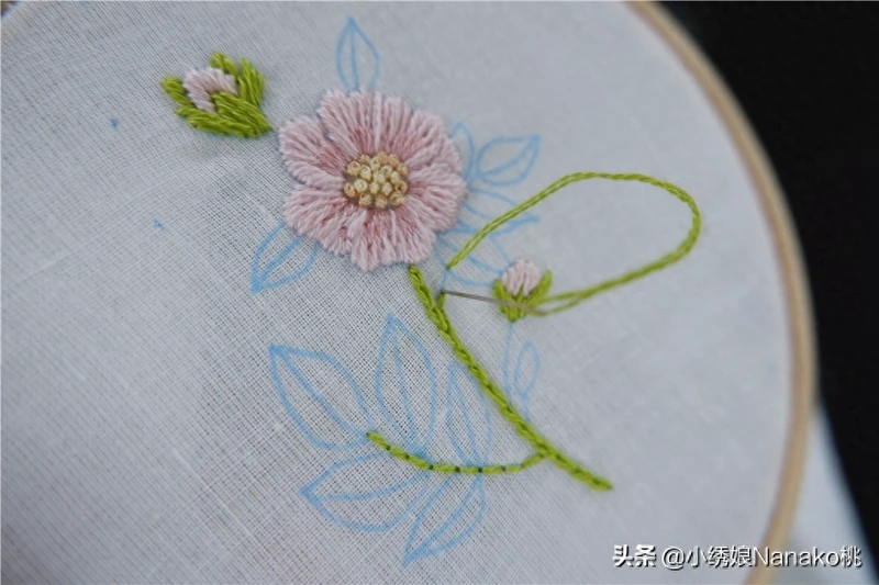 棉花见多了,你知道野棉花吗?粉色的棉花如此萌萌哒