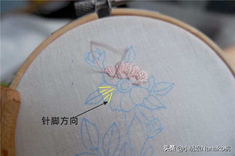 棉花见多了,你知道野棉花吗?粉色的棉花如此萌萌哒