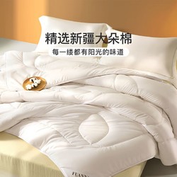 FUANNA 富安娜 51%新疆棉花纤维被 七孔抑菌冬被芯 6.7斤 230*229cm 白色