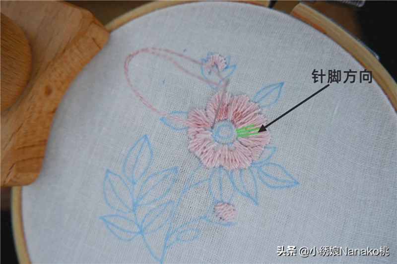 棉花见多了,你知道野棉花吗?粉色的棉花如此萌萌哒