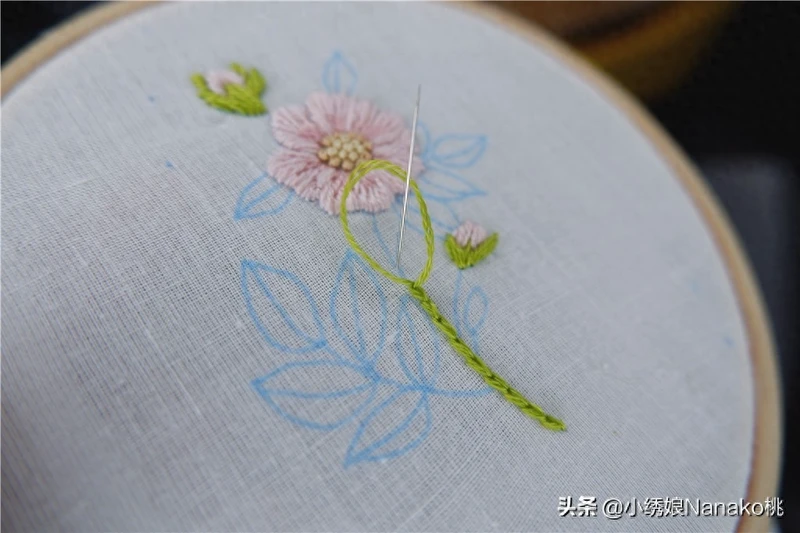 棉花见多了,你知道野棉花吗?粉色的棉花如此萌萌哒