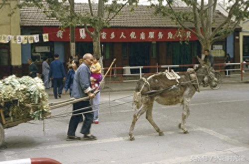 80年代的河南洛阳老照片 一起回到那个时光淳朴的年代