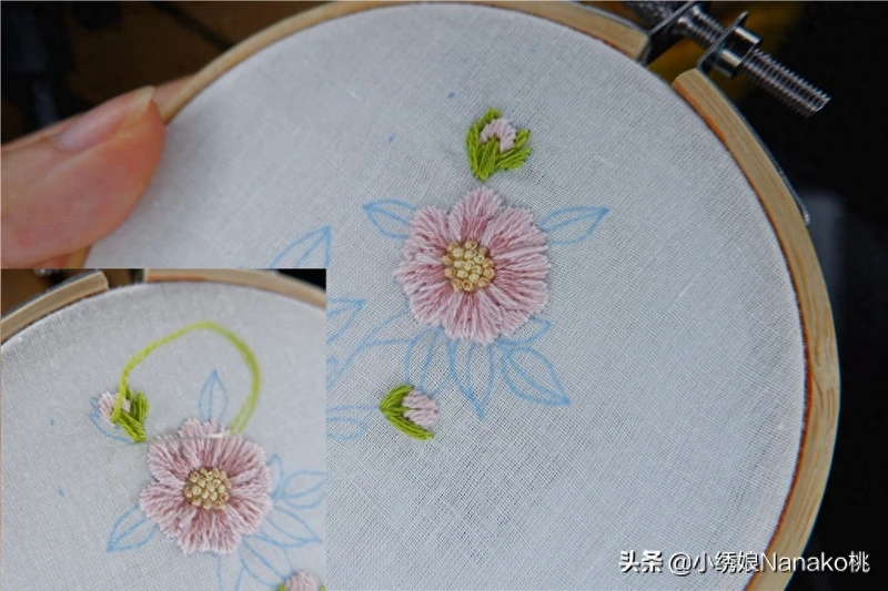 棉花见多了,你知道野棉花吗?粉色的棉花如此萌萌哒